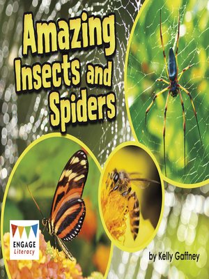 cover image of Amazing Insects and Spiders